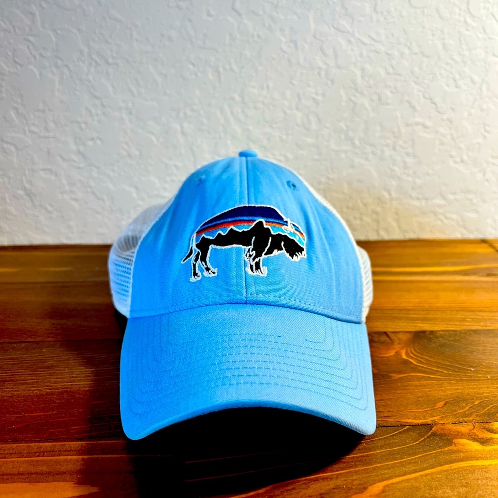 Patagonia baseball hat